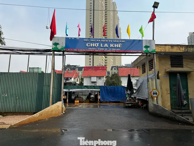 Chợ Cá La Khê: Cẩm Nang Chi Tiết Từ A Đến Z Cho Người Mới Chợ Cá La Khê: Cẩm Nang Chi Tiết Từ A Đến Z Cho Người Mới
