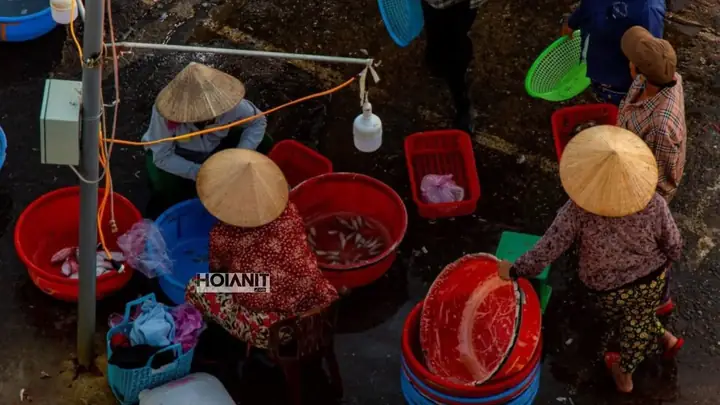 Chợ Cá Thanh Hà Hội An: Khám Phá Nét Văn Hóa Biển Cả Độc Đáo