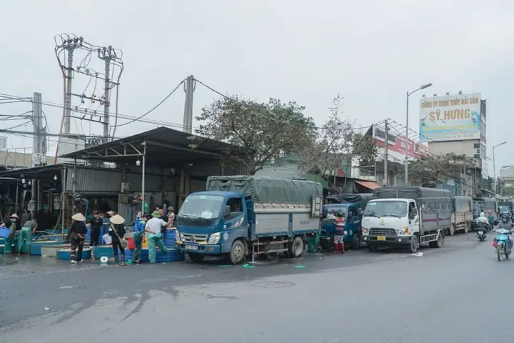 chợ cá yên sở
