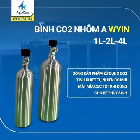 Kinh nghiệm mua bán cá cảnh Bình Dương hiệu quả trên Chợ Tốt