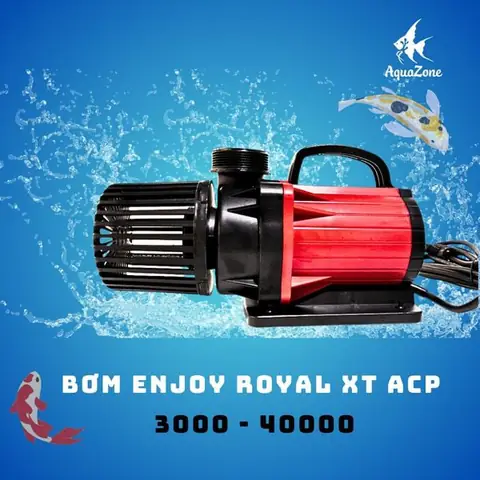 Công Suất Máy Bơm Cho Hồ Cá Là Gì?