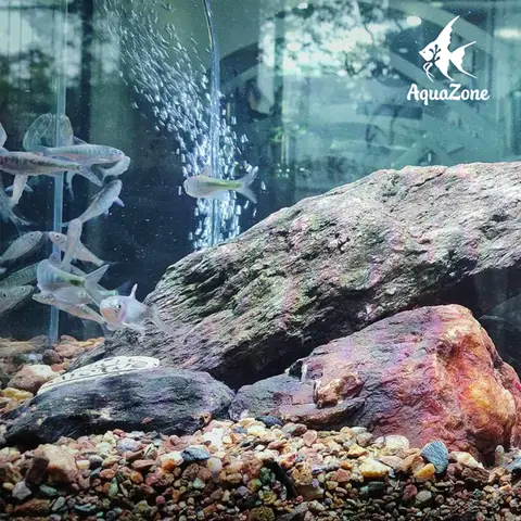 3. Áp Lực Nước