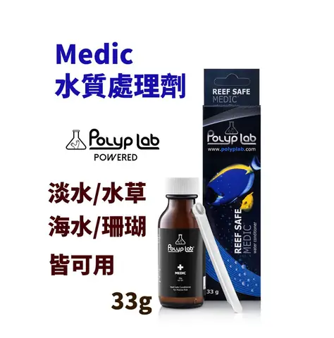 Hướng Dẫn Toàn Diện Cách Chữa Bệnh Cho Cá Cảnh