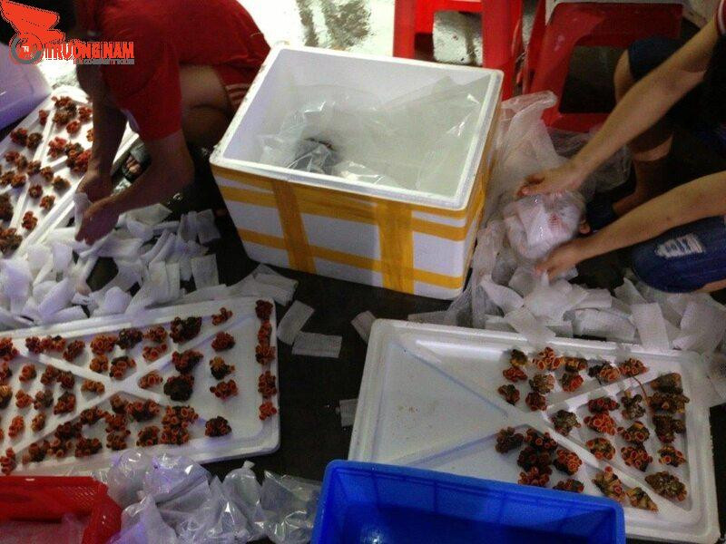 Chuẩn bị đầy đủ mọi thứ theo gợi ý