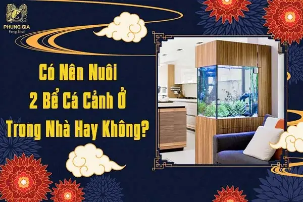 Có Nên Nuôi 2 Bể Cá Cảnh Ở Trong Nhà Không?