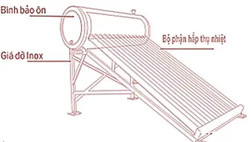 Tại Sao Con Cá Bong Bóng Bị Vỡ Khi Kéo Lên Đột Ngột?