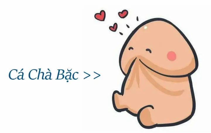 con cá chà bặc