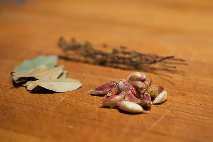 Cá Ma Cà Rồng Là Gì? Hướng Dẫn Chăm Sóc Chi Tiết Từ A-Z