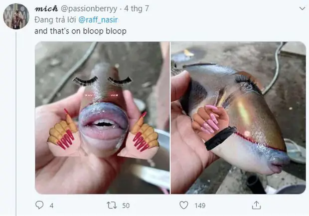 Giải Mã Con Cá Môi Trề: Triggerfish - Loài Cá Độc Đáo Với Đôi Môi Và Hàm Răng Người Giải Mã Con Cá Môi Trề: Triggerfish - Loài Cá Độc Đáo Với Đôi Môi Và Hàm Răng Người