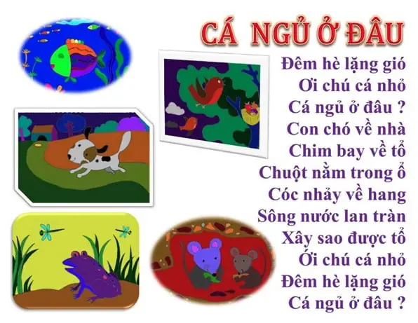 Con Cá Ngủ Ở Đâu? Giải Mã Giấc Ngủ Kỳ Lạ Của Loài Cá