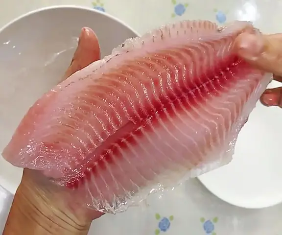 Phi lê cá rô phi là gì?
