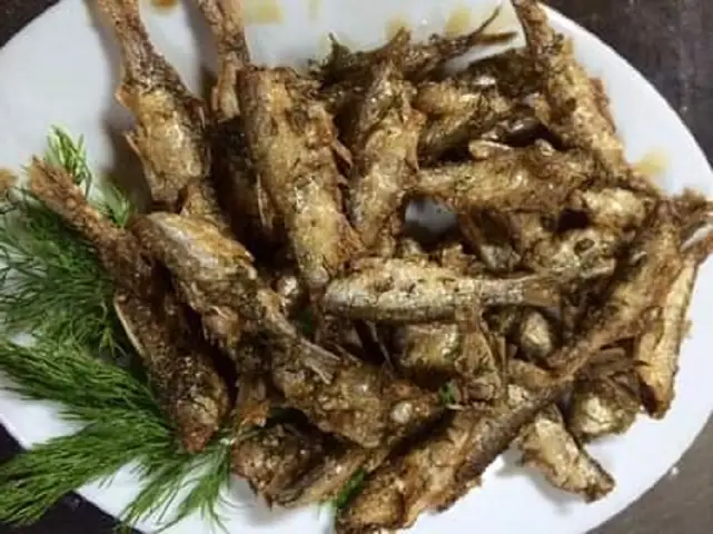Con Cá Thầu Dầu: Đặc Điểm, Cách Nuôi Và Chăm Sóc Đúng Kỹ Thuật
