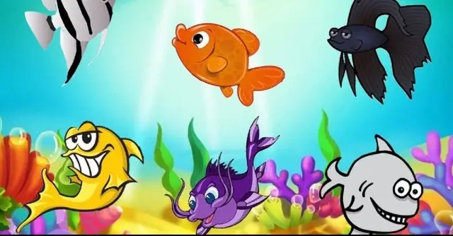Cá Thờn Bơn: Đặc điểm, Tập tính và Sự tích dân gian thú vị Cá Thờn Bơn: Đặc điểm, Tập tính và Sự tích dân gian thú vị