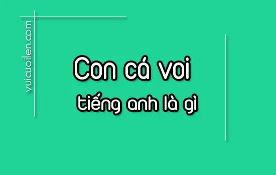 Con Cá Voi Tiếng Anh Là Gì? Hướng Dẫn Phát Âm & Các Loại