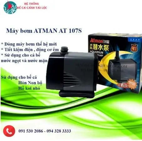 Cách Tính Và Chọn Công Suất Máy Bơm Bể Cá Phù Hợp Nhất