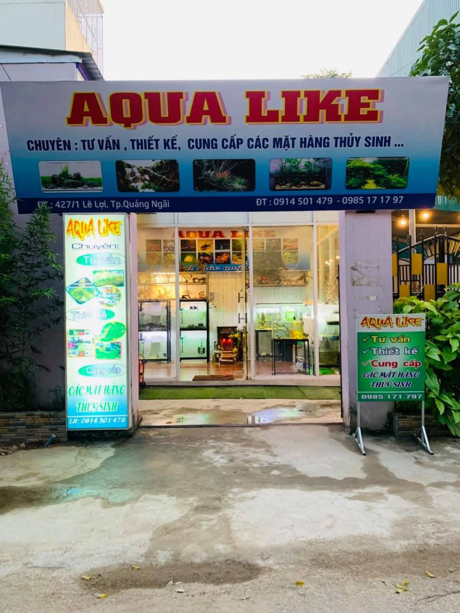Cửa hàng Aqua Like chuyên cung cấp cá cảnh và thủy sinh