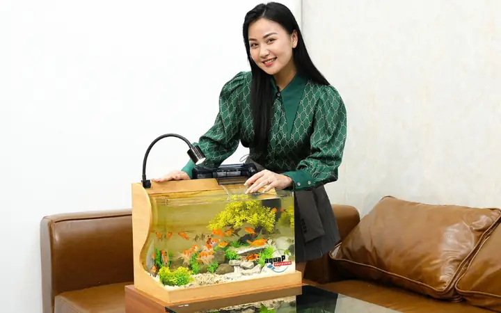 BỂ CÁ CẢNH ĐA NĂNG – Công ty phân phối các loại bể cá đa năng Aquap