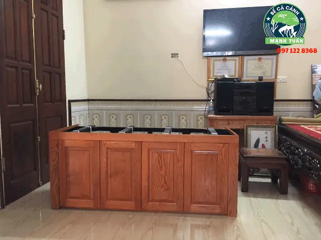 Tìm hiểu cửa hàng cá cảnh Anh Tuấn: Địa chỉ, sản phẩm, đánh giá
