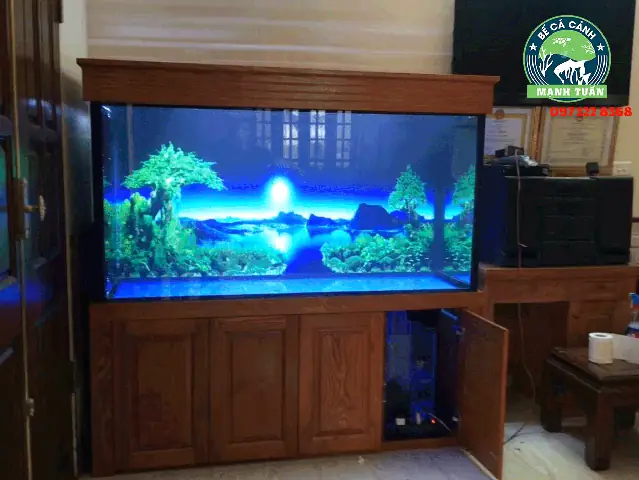 Tìm hiểu cửa hàng cá cảnh Anh Tuấn: Địa chỉ, sản phẩm, đánh giá