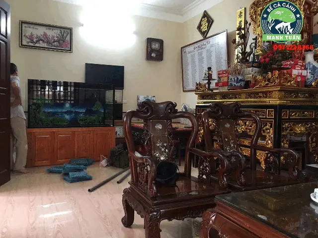 Tìm hiểu cửa hàng cá cảnh Anh Tuấn: Địa chỉ, sản phẩm, đánh giá
