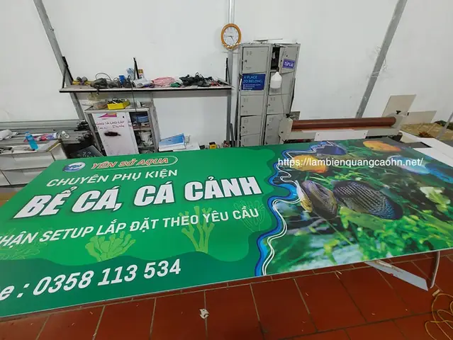 Cẩm Nang Mở Và Phát Triển Cửa Hàng Cá Cảnh Biển Chuyên Nghiệp