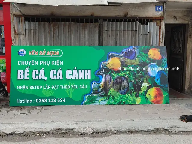Cẩm Nang Mở Và Phát Triển Cửa Hàng Cá Cảnh Biển Chuyên Nghiệp