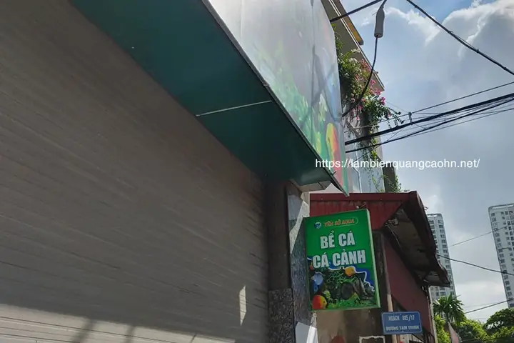 Cẩm Nang Mở Và Phát Triển Cửa Hàng Cá Cảnh Biển Chuyên Nghiệp