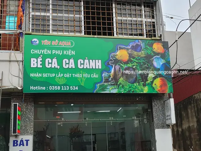 Cẩm Nang Mở Và Phát Triển Cửa Hàng Cá Cảnh Biển Chuyên Nghiệp