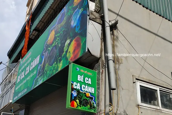 Cẩm Nang Mở Và Phát Triển Cửa Hàng Cá Cảnh Biển Chuyên Nghiệp