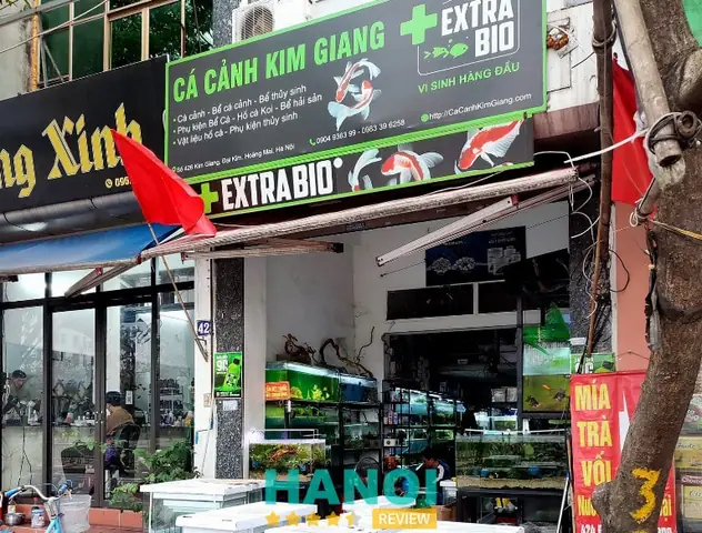 Cửa Hàng Cá Cảnh Huệ Hoàn: Đánh Giá Chi Tiết Từ A Đến Z