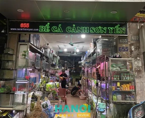 Cửa Hàng Cá Cảnh Huệ Hoàn: Đánh Giá Chi Tiết Từ A Đến Z