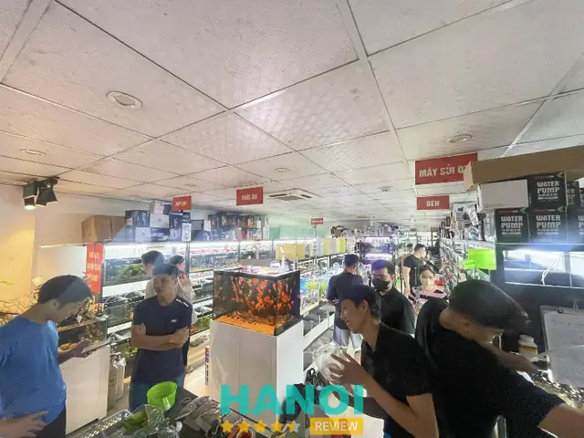 Cửa Hàng Cá Cảnh Huệ Hoàn: Đánh Giá Chi Tiết Từ A Đến Z
