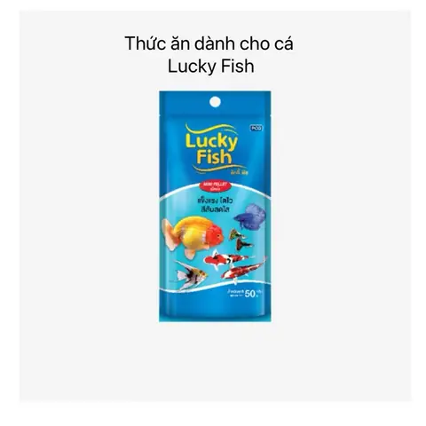 Cửa Hàng Cá Cảnh Lucky: Đánh Giá Chi Tiết Cho Người Yêu Thủy Sinh