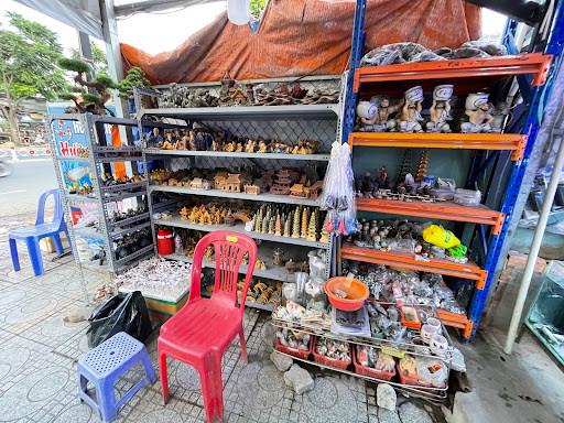 Cửa hàng cá kiểng Hương Châu cung cấp đa dạng các loại cá cảnh