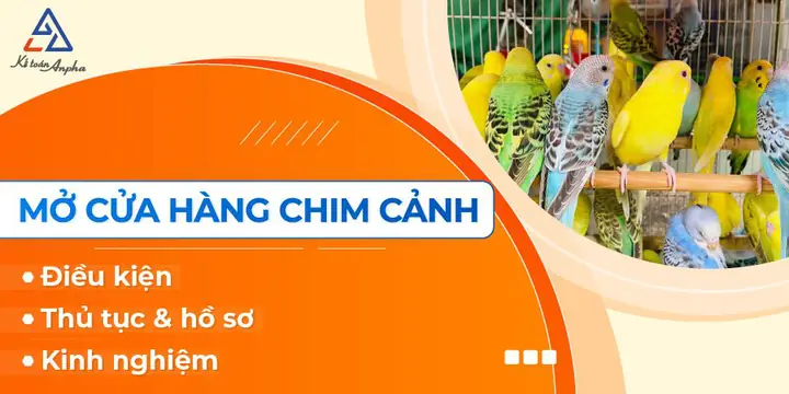 Thủ tục, điều kiện, kinh nghiệm mở cửa hàng bán chim cảnh