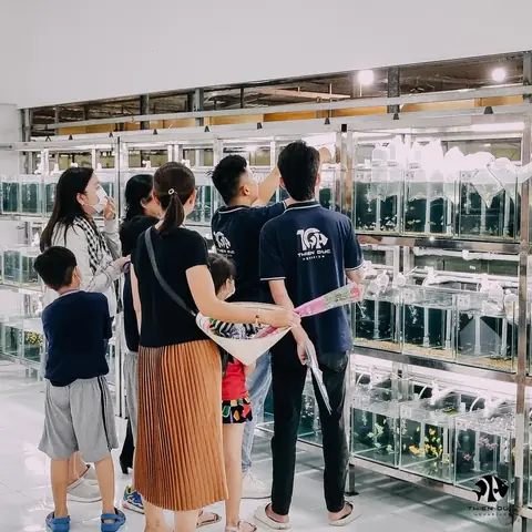 Cẩm nang tìm nguồn cung cấp cá cảnh giá sỉ uy tín
