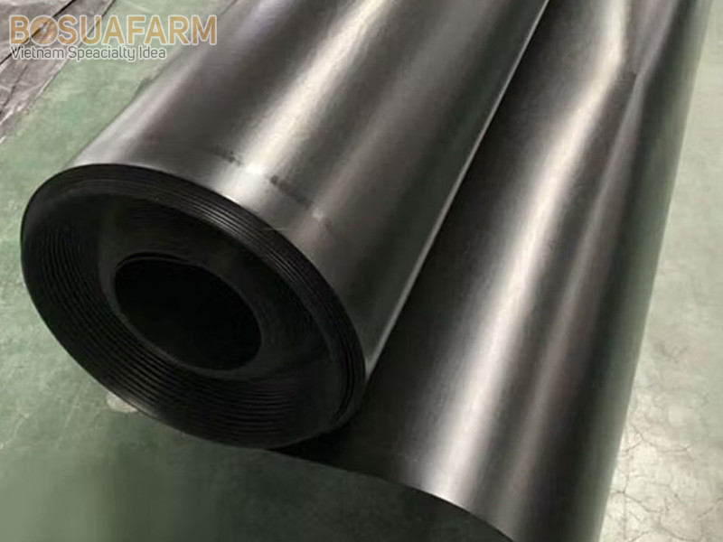Cuộn màng chống thấm HDPE chất lượng cao sẵn sàng cho dự án hồ cá