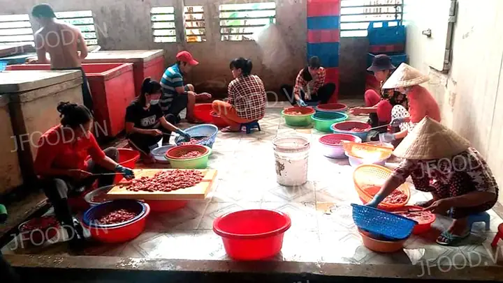 Cách Làm sáº¡ch Bao Tá»­, Dáº¡ cá basa