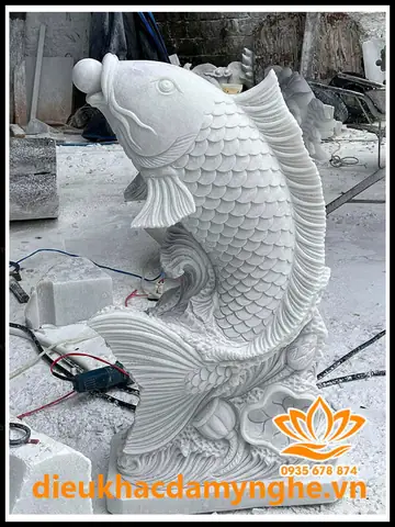 Hướng Dẫn Chi Tiết Chọn Và Sử Dụng Đá Cho Hồ Cá Cảnh