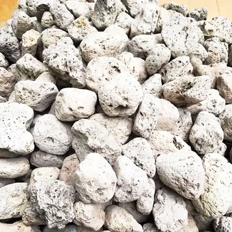 Đá Lọc Bể Cá: Hướng Dẫn Chi Tiết Từ A Đến Z Cho Bể Thủy Sinh