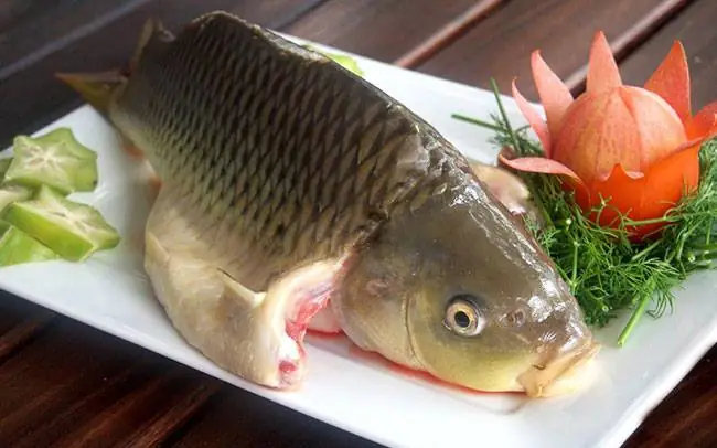 Cá Chép Có Đặc Điểm Dinh Dưỡng Nào Nổi Bật Cho Sức Khỏe?