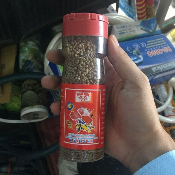 Đàn cá cảnh khỏe mạnh bơi lội trong môi trường bể cá trong xanh, phản ánh chế độ nuôi cá cảnh ngày cho ăn mấy lần hợp lý