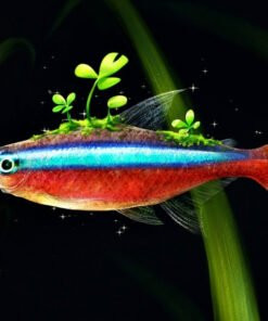 Đàn cá Neon Vua rực rỡ bơi lội trong bể cá cảnh Sài Gòn