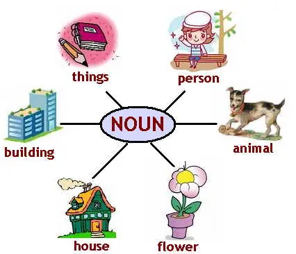 Đàn Cá Tiếng Anh Là Gì? Các Thuật Ngữ Về Cá Trong Tiếng Anh