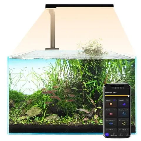 đèn bể cá mini