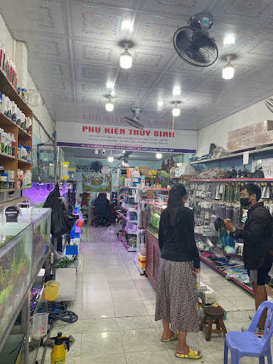 Đèn chiếu sáng và trang trí cho hồ thủy sinh tại Quận 7