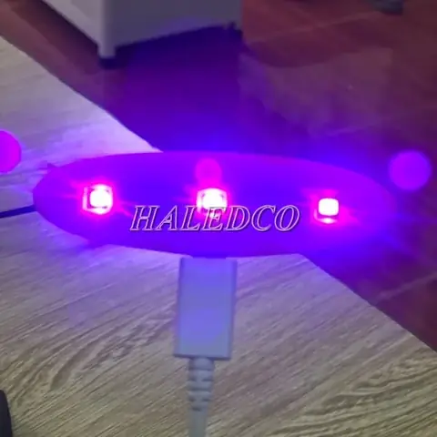 4.2 Đặc điểm