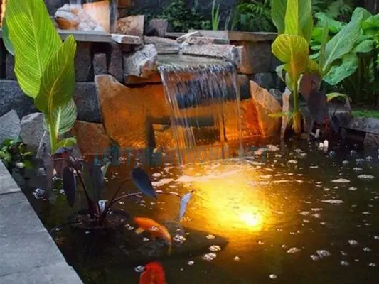Chọn Đèn LED Dưới Nước Hồ Cá: Hướng Dẫn Toàn Diện Từ A-Z