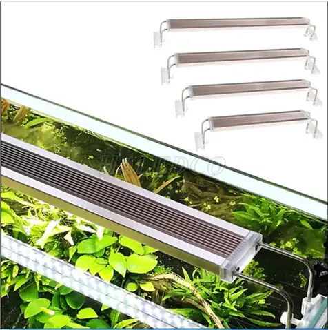 Đèn LED Hồ Cá 80cm: Hướng Dẫn Chọn Lựa Toàn Diện