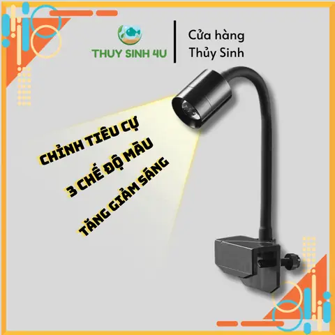 Đèn LED Rọi Cho Bể Cá: Hướng Dẫn Chọn Và Sử Dụng Hiệu Quả